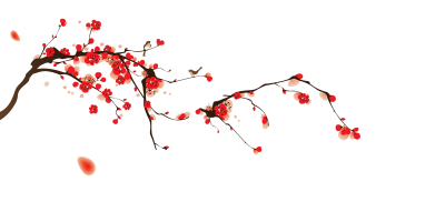 Cherry Blossom Free Cut Out PNG Images