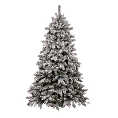 Transparent Picture Christmas Tree PNG Images