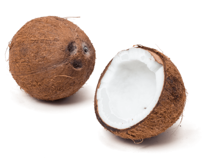 Coconut Free Transparent Png PNG Images