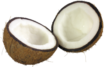 Coconut Clipart Transparent PNG Images