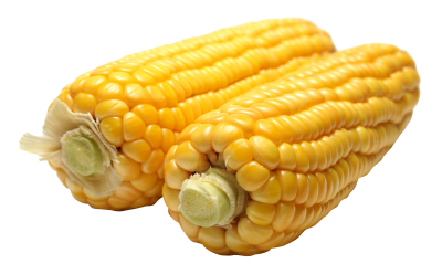 Corn hd image images png
