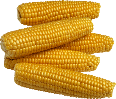 Corn best png images download, yellow