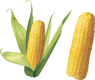 Corn Free Download PNG Images