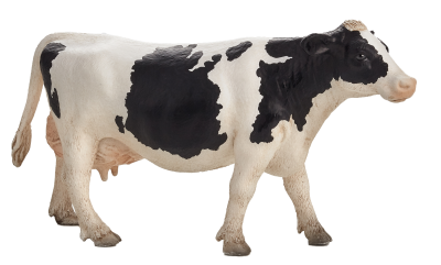 Black And White Milking Cow Hd Png Download PNG Images