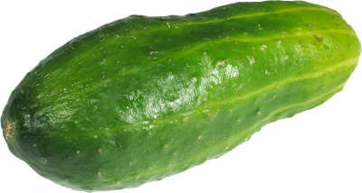 Cucumber Serrated Picture PNG Images
