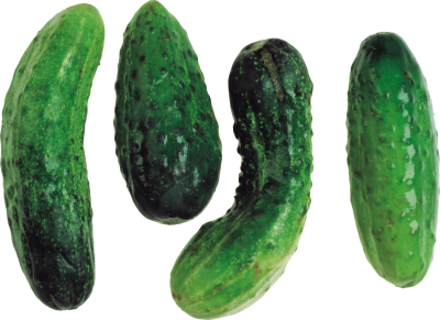 Cucumber Exhibition Transparent Photo PNG Images