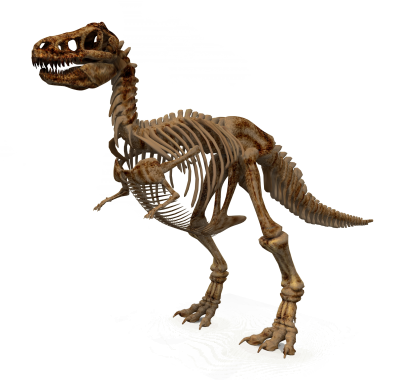 Dinosaur HD Image PNG Images