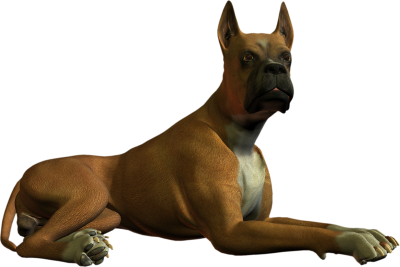 Dog Transparent Image PNG Images