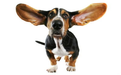 Download Dog PNG PNG Images