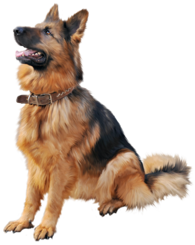 Image Transparent Dog PNG Images