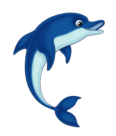 Download DOLPHIN Free PNG transparent image and clipart