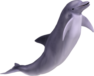Sea, Animal, Big Sweet Dolphin Png PNG Images