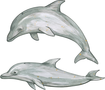 Two Pencil Drawing Of Dolphin Png Hd Background PNG Images