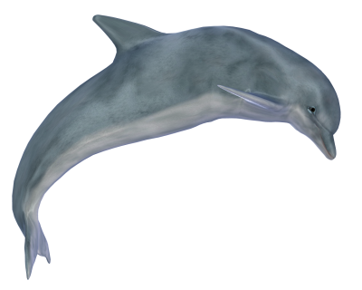 High Quality Green Dolphin Png Free PNG Images