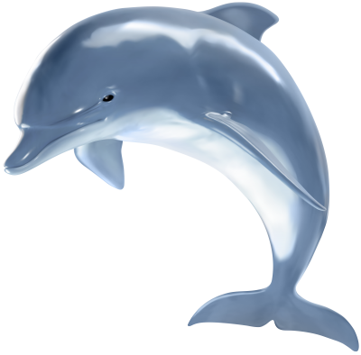 Realistic Blue Bright Dolphin Transparent Background PNG Images