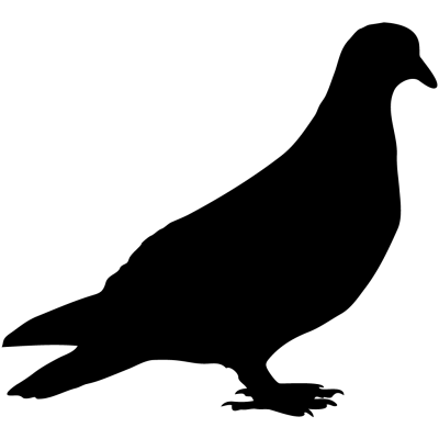 Black image Birds Dove Transparent Png PNG Images