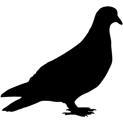 Black Image Birds Dove Transparent Png PNG Images