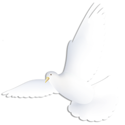 White Dove Wall Accessory Png Transparent PNG Images