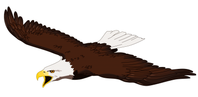 Eagle Best Png PNG Images