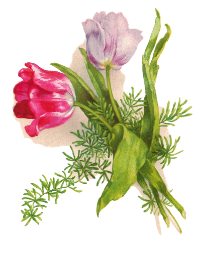 Easter Flower Free Download Transparent PNG Images