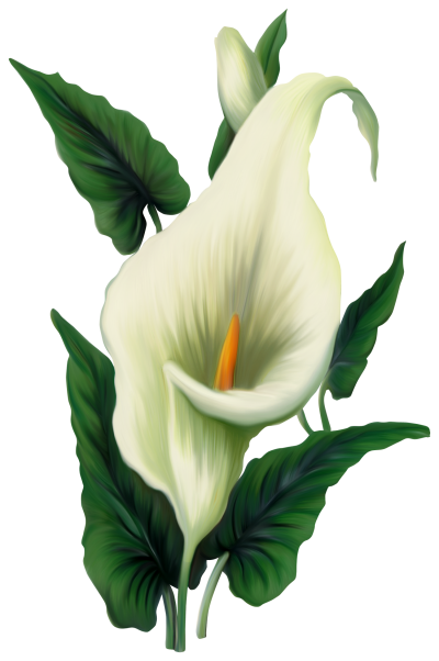 Easter Flower Free Transparent Png PNG Images