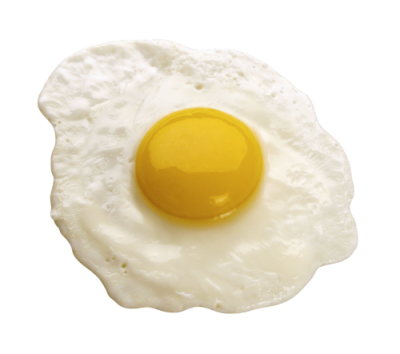 Egg PNG Vector Images with Transparent background - TransparentPNG