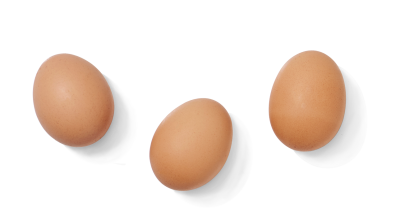 Egg Background PNG Images