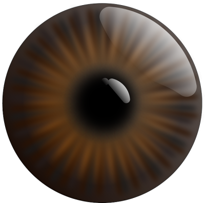 Eye, Realistic, Iris, Brown Transparent PNG Images