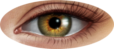 Women Eye Background PNG Images