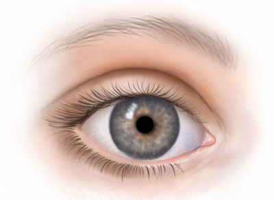 Download EYE Free PNG transparent image and clipart