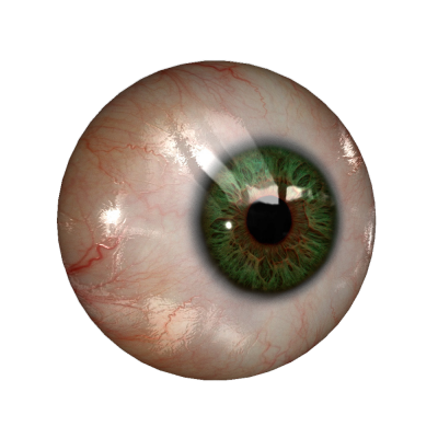 Green Eye Transparent Free Download Close Up Looking Left PNG Images