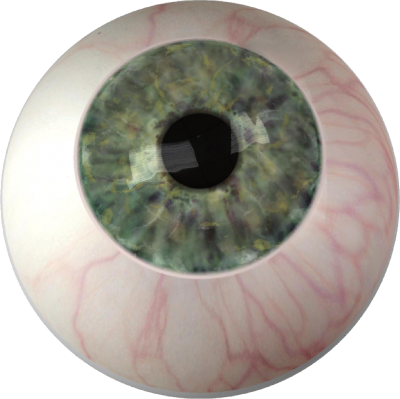 Upward Looking Veined Eyes Transparent Png PNG Images