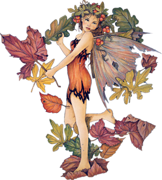 Fairy Transparent Images PNG Images
