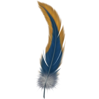 Bird Feather, Animal, Feather, Png PNG Images