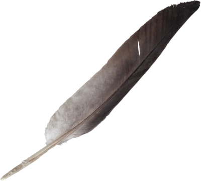 Feathers, Beautiful, Colorful, Simple, Png Transparent PNG Images