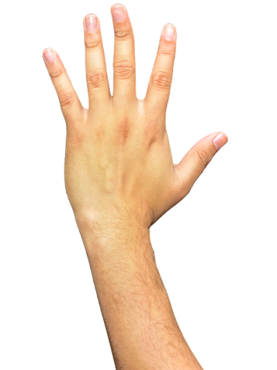 Hands Fingers Arm Free Photo Download PNG Images