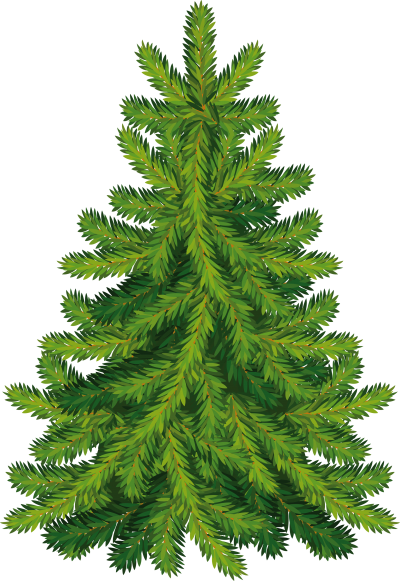 Fir Tree Clipart Png PNG Images