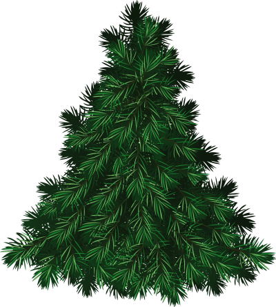 Fir Tree Hd Transparent PNG Images