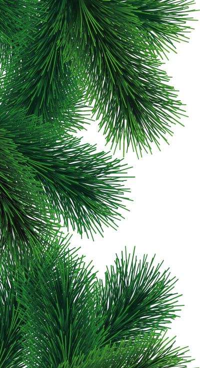 Near Fir Tree Png Clipart PNG Images