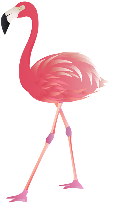 Beautiful Furry Red Flamingo Transparent Background PNG Images