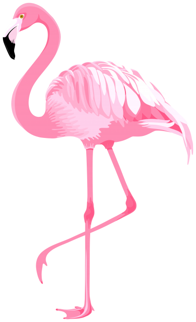 Flamingo PNG Vector Images with Transparent background - TransparentPNG