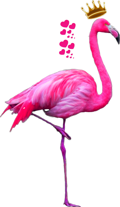 Pink Flamingo With Crown And Heart Free Transparent PNG Images