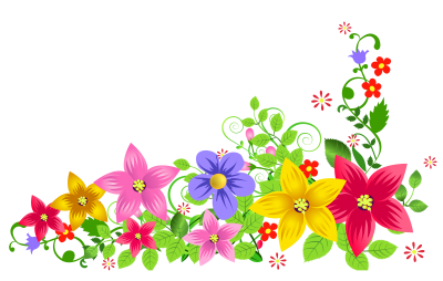 Frame Border Design Floral Hd Transparent PNG Images