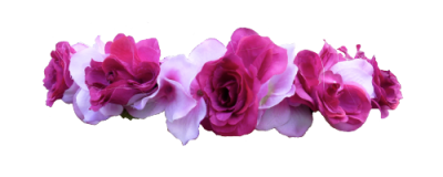 Beautiful Dark Pink White Flower Crown Hd Transparent PNG Images