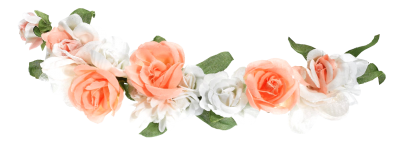 Classic Pink White Flower Crown Png PNG Images