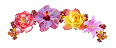 Crown With Different Flowers Transparent Png PNG Images