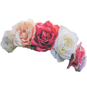 Pink And White With Rose Flower Crown Clipart Png PNG Images