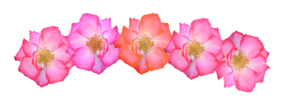 Pink Artificial Flower Crown Transparent Background PNG Images