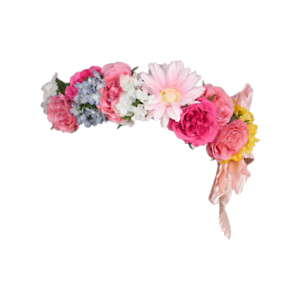 Pink Mixed Flower Crown Hd Png PNG Images