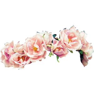Pink Rose Flower Crown Png Clipart PNG Images